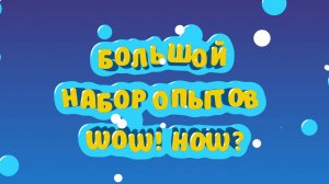Большой набор опытов WOW! HOW? — видеообзор
