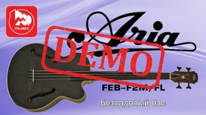 Электроакустический бас ARIA FEB-F2M/FL - демонстрация звучания