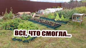 Все, на что меня хватило. Саша оказался выносливее