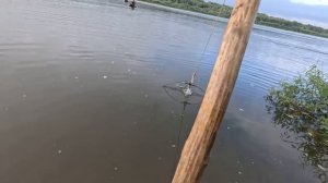 Рыбалка на реке ОКЕ! Попался на живца!