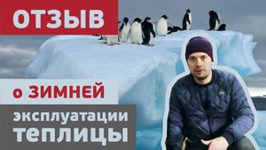 Теплица зимой ⧸ Отзыв владельца