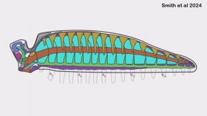 Происхождение Артропод представилось в исключительных подробностях!(Arthropod Origins Revealed by..)