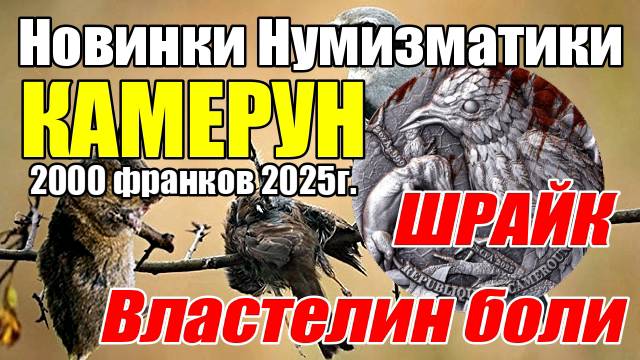 Новинки Нумизматики КАМЕРУН 2000 франков 2025г."ШРАЙК Властелин боли" смотреть онлайн
