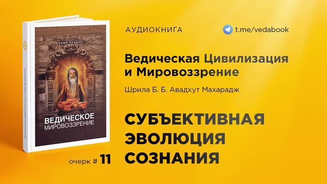 11. Субъективная эволюция сознания — Свами Авадхут