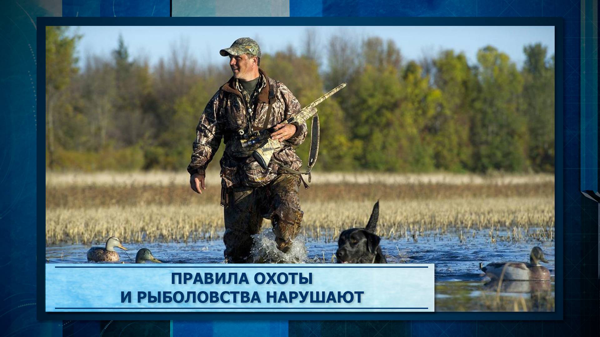 Правила охоты и рыболовства нарушают