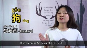 10 Special Animal Words_Names to Describe People in Chinese (You Must Know) - Learn Mandarin Chinese