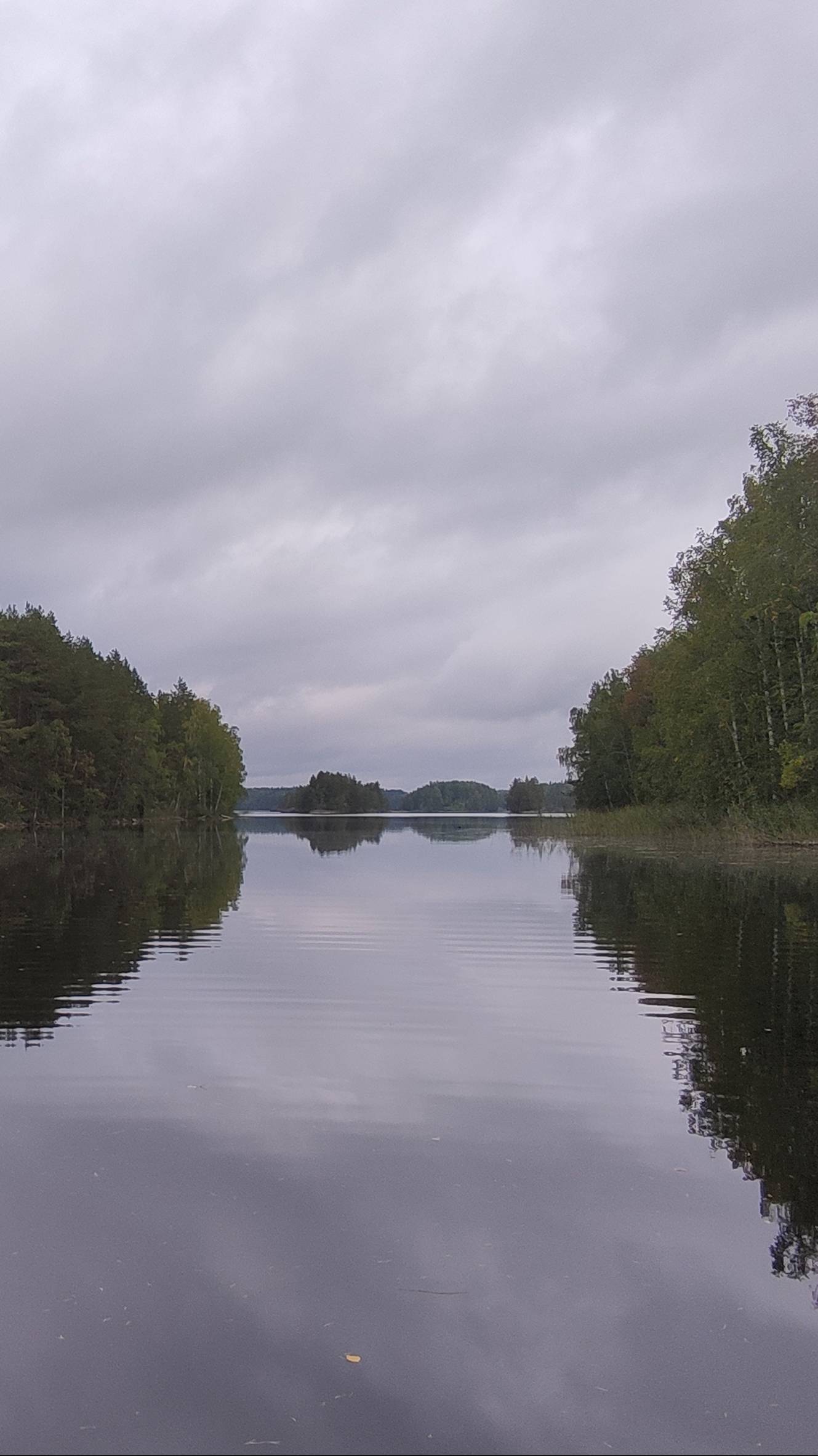 2024-09-01 09-27-11
Онежское озеро. Уницкая губа.