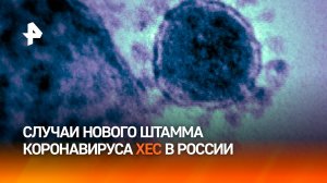 Два случая коронавируса XEC зарегистрированы в России / РЕН Новости