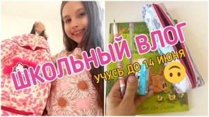 Школьный влог Вирсюши.