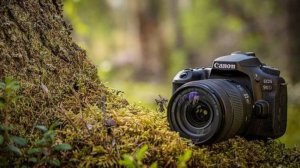 #сезонконтентаRUTUBE
Фотосессия Даши (16 июня 2003)