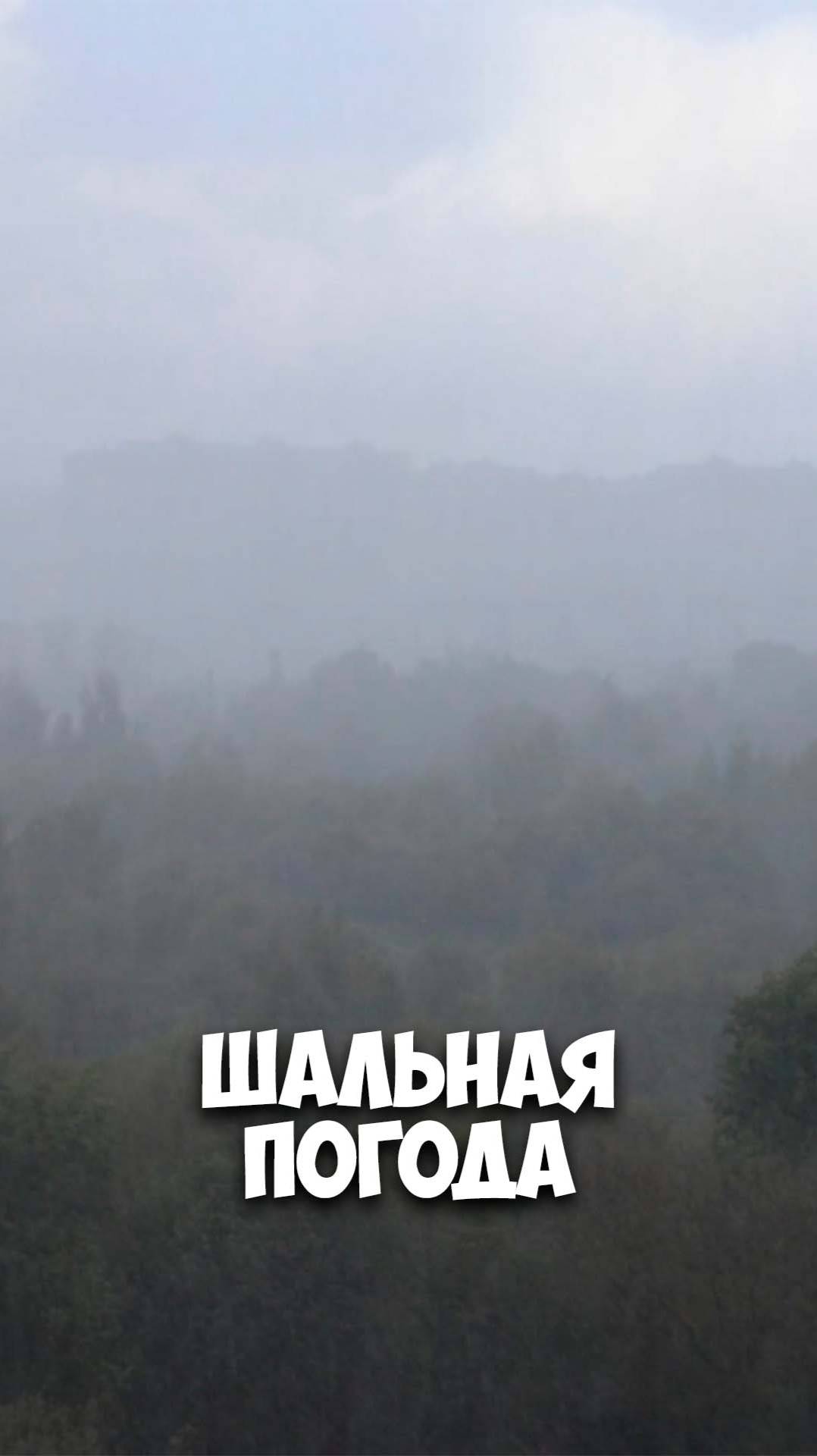 Аллегрова мем. Шальная погода. Шальная погода. Катя шальная фото. Тень в жару.