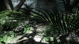 FAR CRY 3 Миссия "Пещерные грибы".