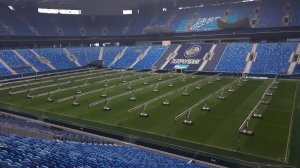 Выход на поле Газпром Арены