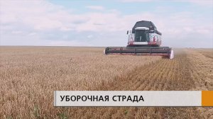 Уборка урожая близится к концу.