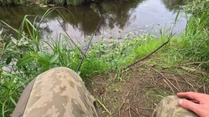 Рыбалка в ДИКИХ ЗАРОСЛЯХ! Рыбалка с сыном на дикой речке!