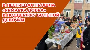 В Пестрецах прошла «Ярмарка добра» в поддержку больной девочки