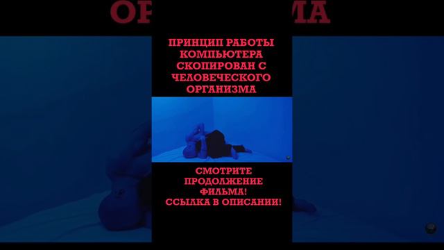 Принцип работы компьютера скопирован с человеческого организма смотреть онлайн