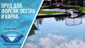 Пруд для форели, осетра и карпа