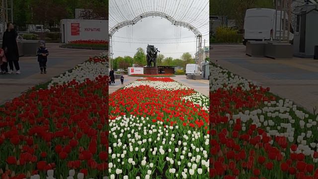 Белгород, парк Победы. Belgorod, Victory Park. #белгород  #цветы #тюльпаны #belgorod  #flowers