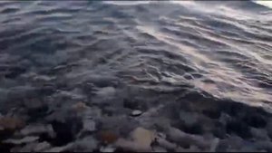 Влог/Отдых в Ольгинке