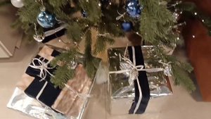 Предновогодний влог