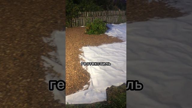 Как облагоустроить участок #строительство #дача #сад #ландшафтныйдизайн