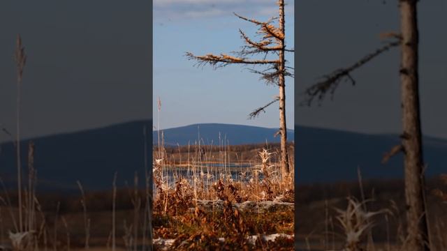 Прогуляемся по осеннему плато Путорана? 🍂