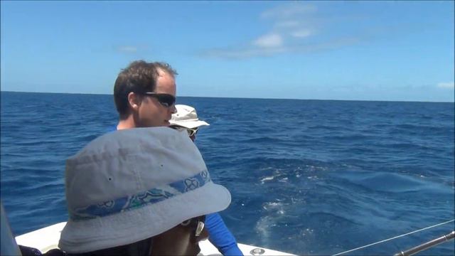 cape verde 2013 Rudi's first blue marlin ever смотреть онлайн