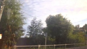 Павловский Посад, автобус 41, участок Красная Дубрава-2 - Городковская фабрика