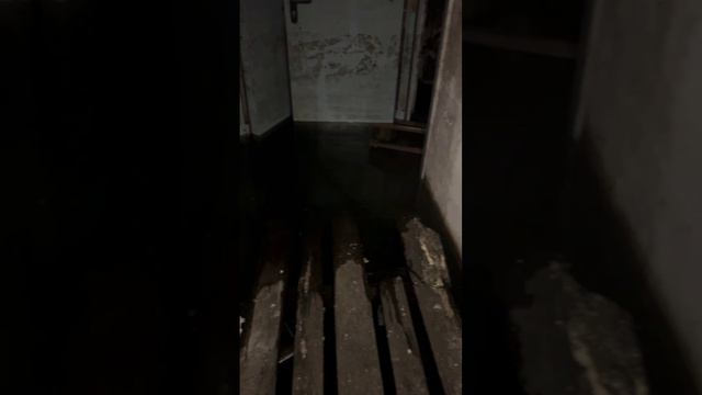 Подвал 43 дома по улице Еремеева затопило фекалиями. Ужас. 💩