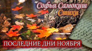 Последние дни ноября. Стихи об осени