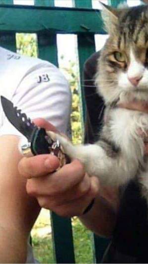 почем молоко Шарик?