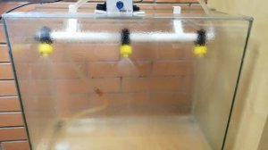 форсунки орошения вальца на дорожный каток опрыскивание, смачивание приобрести на Авито