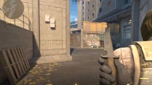 CS:GO 2 / Напарники