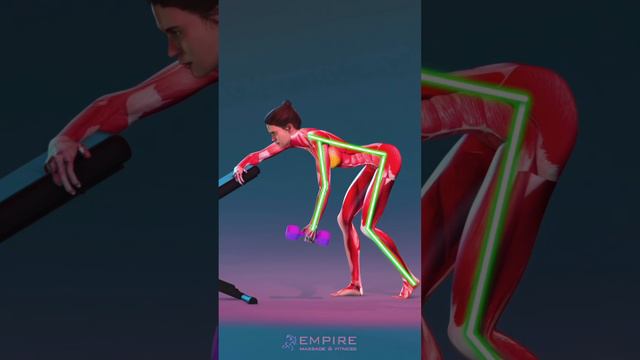 ТЕХНИКА ВЫПОЛНЕНИЯ❕

Советы по выполнению упражнений с гантелями . 
Сохраните и попробуйте позже