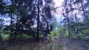 Поймали первые РОИ, необычное ЗАСЕЛЕНИЕ