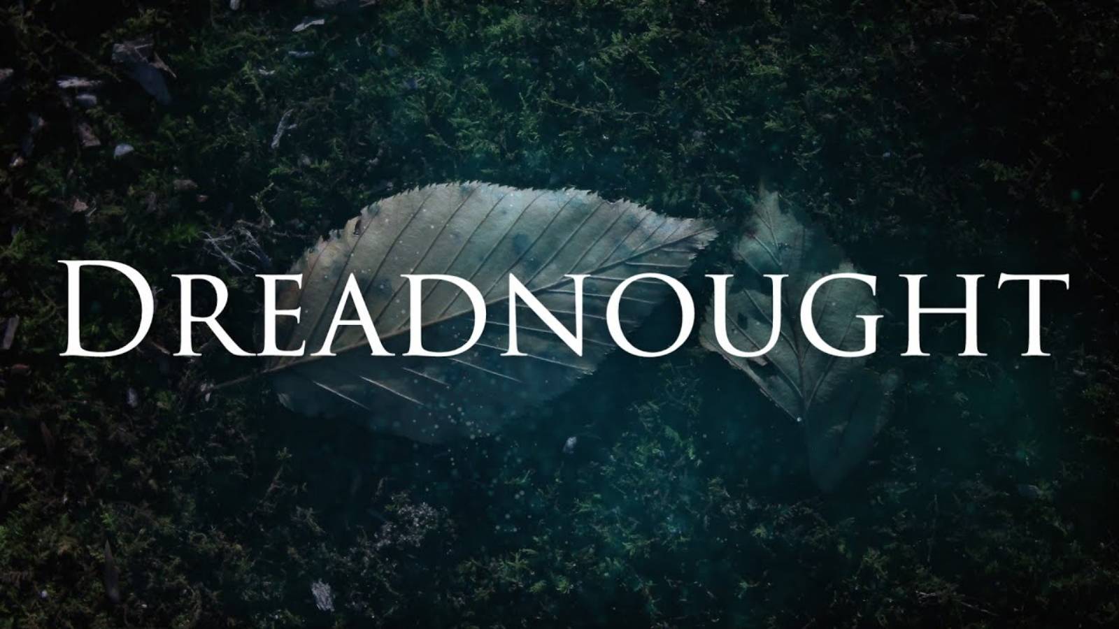 [Мельница - Dreadnought] Гитарный кавер смотреть онлайн