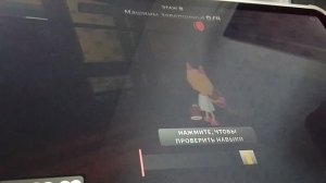 купила кошечку в дэнди мир