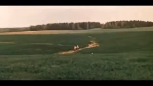 Песня Финиста о Родине.