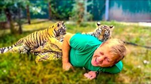 Вот вам и МАЛЕНЬКИЕ ТИГРЯТА, а напали на Олега Зубкова как огромные хищники!