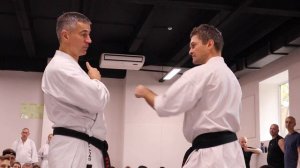 Годзю рю каратэ - принцип "Достаточности" в защите