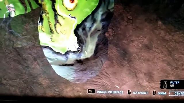 Far cry primal rare dhole skin location