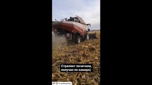 Причина пылевой бури!