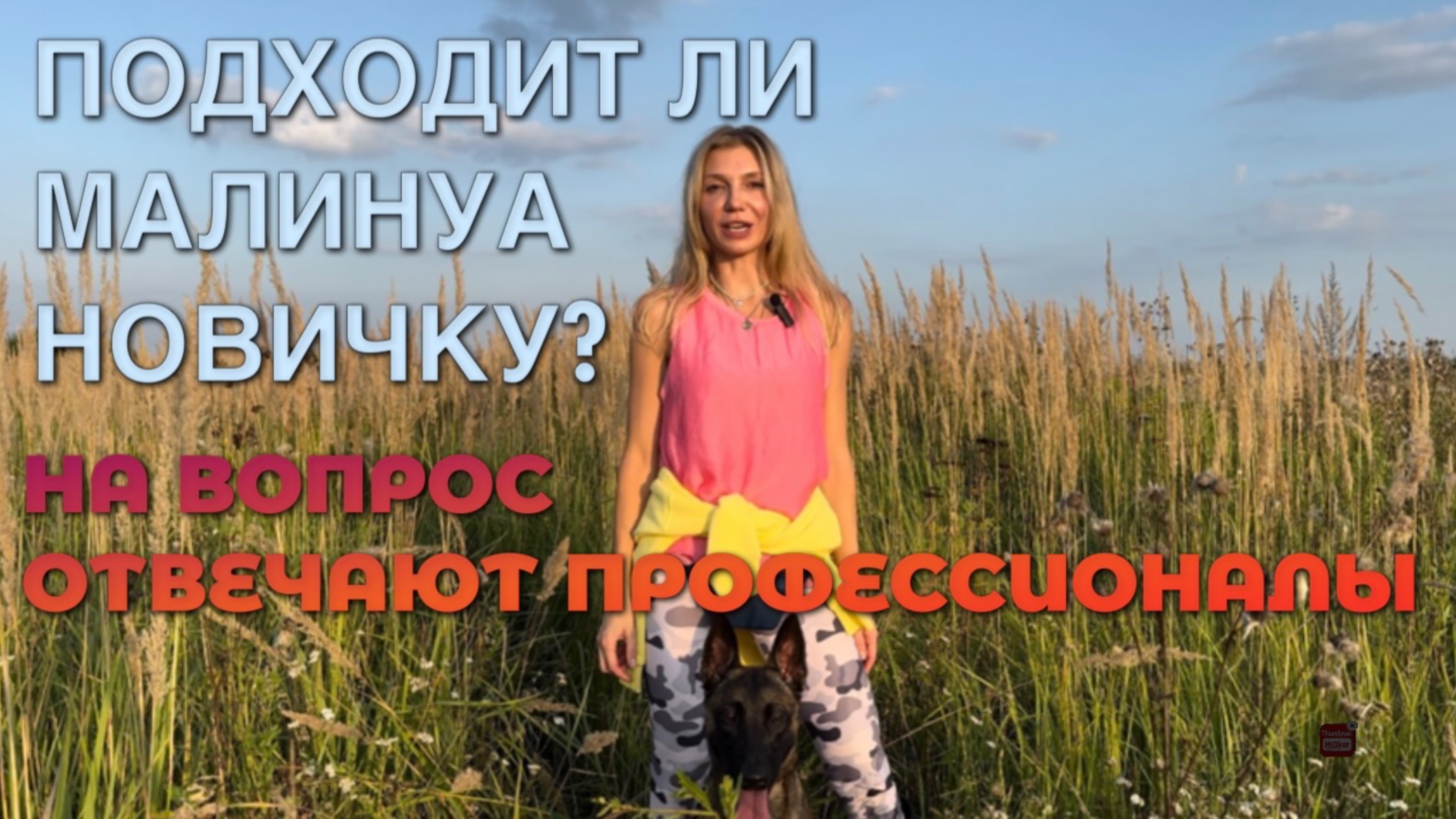 Подходит ли малинуа новичку? Или это собака только для профессионалов? смотреть онлайн