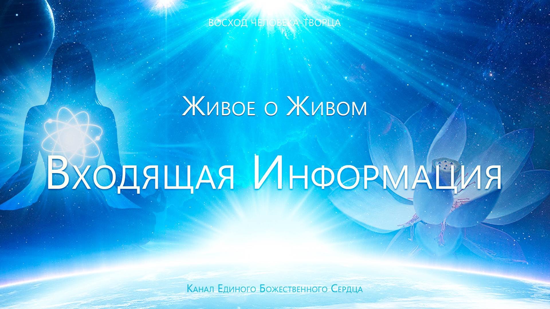Живое о Живом - Входящая Информация