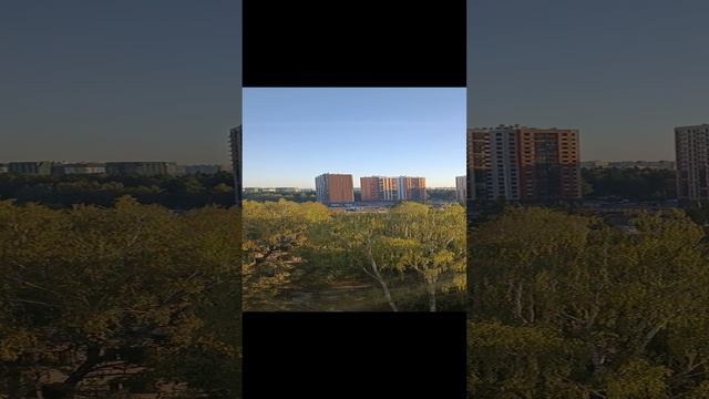 Погода в москве 25. 09. 24 анекдот про мох.