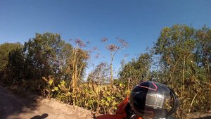 Colt scrambler притягивает не только школьников!!!