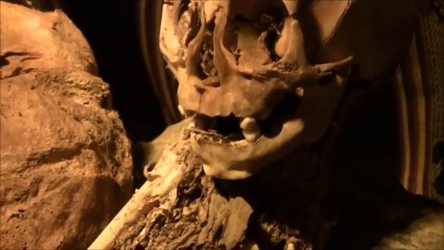 Историки не хотят признавать кому принадлежат вытянутые черепа смотреть онлайн