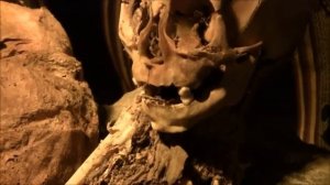 Историки не хотят признавать кому принадлежат вытянутые черепа