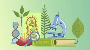 Биология 9 класс. Потоки вещества и энергии в экосистеме. --